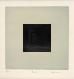 30   -  <p><span class="description">Rafael Echeverri. Ringlete, 1989</span></p>