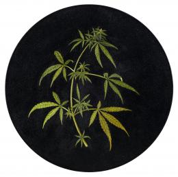 7   -  <p><span class="description">Nadín Ospina. Marihuana “Psicotrópico”, [1993-2011] </span></p>