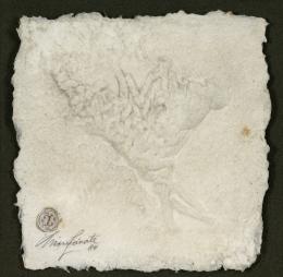 31   -  <p><span class="description">Nirma Zárate. [Nudo de cuerda], 1984</span></p>