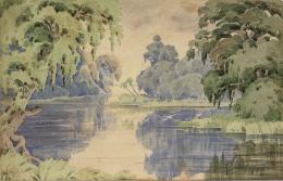 11   -  <p><span class="description">Sergio Trujillo Magnenat. [Río Tropical], sin fecha</span></p>