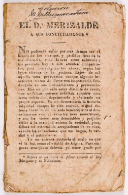 142   -  <span class="anexos">Merizalde a conciudadanos, 1825</span><br>
