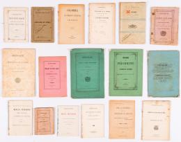 95   -  <span class="anexos">Folletos gobierno y RR.II</span><br>