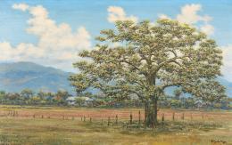 56   -  <p><span class="description">Gonzalo Ariza. Paisaje del Tolima. ca, 1950</span></p>