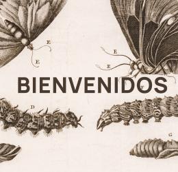 1   -  <span class="anexos">Bienvenidos</span><br>