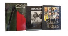 248   -  <span class="anexos">Colombia Indígena: 3 títulos</span><br>
