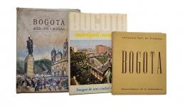 250   -  <span class="anexos">Historia de Bogotá: 3 títulos</span><br>
