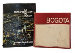 253   -  <span class="anexos">Geografía de Bogotá: 2 títulos </span><br>