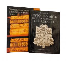 119   -  <span class="anexos">Colegio Mayor del Rosario: 2 títulos</span><br>