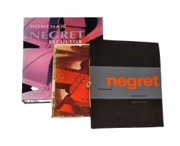 89   -  <span class="anexos">Negret: 3 títulos</span><br>