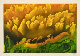 24   -  María Thereza Negreiros. Girasol, 2000 