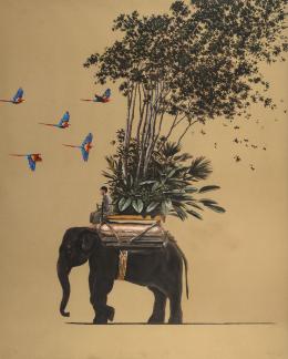 20   -  Pedro Ruíz. Colombia en la India, 2023 