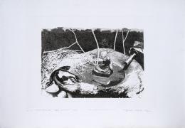 107   -  Miguel Angel Rojas. Caño limón, 1993