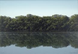 21   -  Tomás Sánchez Cuba, 1948. [Manglar] de la carpeta Imagen e imágenes latinoamericanas de la Fundación Nuevo Cine Latinoamericano. 1994. 