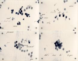 100   -  Collier Schorr. Implicated, 1990 