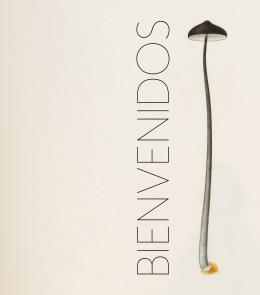 1   -  ¡Bienvenidos!