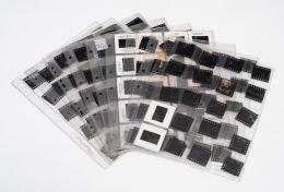 73   -  Archivo fotográfico: Gabo, 1982-84