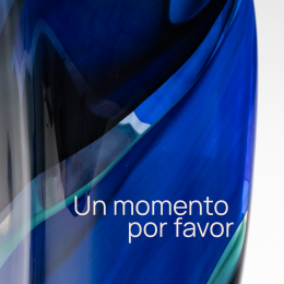 1   -  En unos momentos estaremos dando inicio a la subasta. 