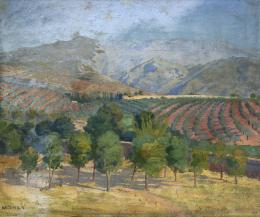 10   -  Campo Granadino (alrededores de Granada, España). sin fecha. 