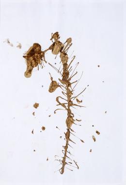 57   -  Sin título, del performance Room Services. 2016. 