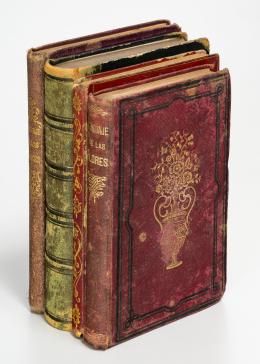 143   -  4 v. lenguaje de las flores, 1846