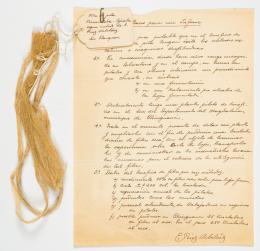 17   -  Manuscrito estudio de la cabuya