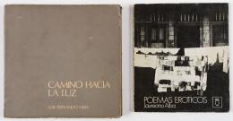 116   -  Libros de poesía. S. XX