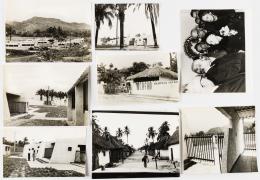 284   -  Fotografías de Nereo