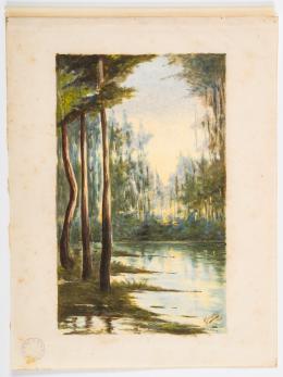 29   -  Jaramillo: paisaje boscoso c.1900
