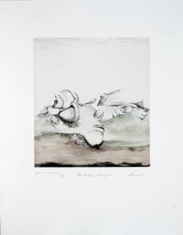 122   -  Jim AmaralEstados Unidos, 1933. De la Carpeta Landscapes, 1997