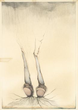55   -  Jim AmaralEE.UU., 1933. Flor invisible, plancha 68, 1980