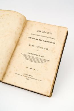 355   -  <span class="object_title">Los negros en sus diversos estados y condiciones: tales como son, como se supone que son, y como deben ser</span>