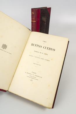379   -  <span class="object_title">Vida de Rufino Cuervo y noticias de su época. Tomo I y II</span>