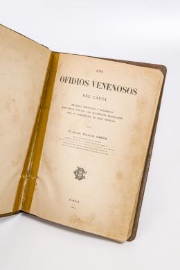 291   -  <span class="object_title">Los ofidios venenosos del Cauca. Métodos empíricos y racionales empleados contra los accidentes producidos por la mordedura de esos reptiles</span>