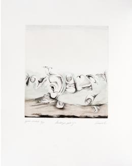 127   -  <p><span class="description">Jim Amaral. De la Carpeta Landscapes, 1977</span></p>