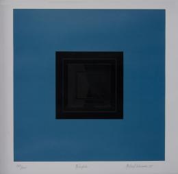 57   -  <span class="object_title">Ringlete</span>. <span class="year">1987</span>. 