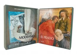 109   -  <span class="object_title">El Prado: La pintura nórdica </span>