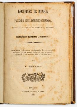 16   -  <span class="object_title">Lecciones de Música precedidas de una introducción histórica, seguida cada una de su respectivo programa i acompañadas de láminas litografiadas<br/></span>