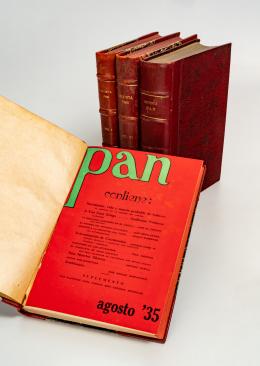 112   -  <span class="object_title">Revista PAN. Tomo I al IV</span>