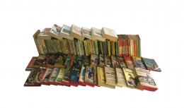 9   -  <span class="object_title">Libros de bolsillo y literatura en ingles</span>