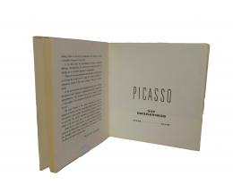 48   -  <span class="object_title">Picasso 347 engravings</span>