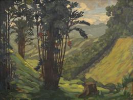 16   -  <p><span class="description">Pierre Daguet. Mararayes - Tolima, 1934</span></p>