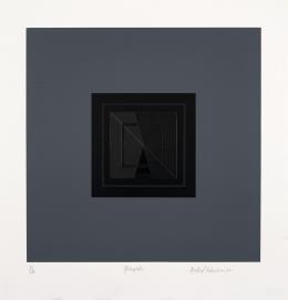 7   -  <p><span class="description">Rafael Echeverri. Ringlete, 1987</span></p>