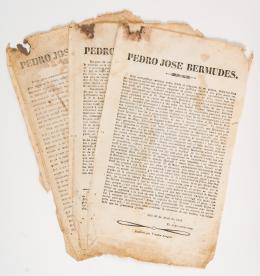 31   -  <span class="object_title">Pedro José Bermudez: 3 documentos</span>