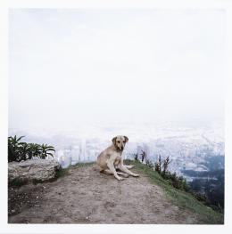 73   -  <p><span class="description">Alec Soth. Bogotá, 2003 </span></p>