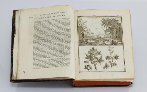 Traité Général du commerce de L&#39;Amérique. Tomo II ⊕