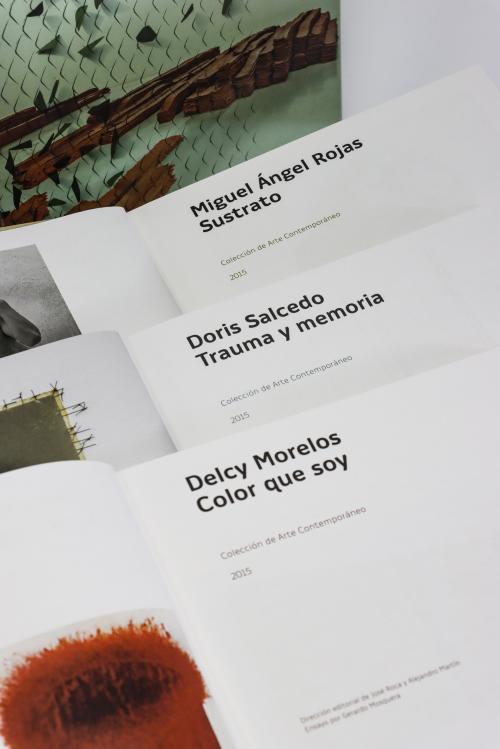 Martín, Alejandro. Roca, José : Colección de Arte Contempor