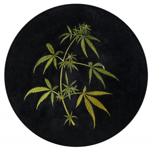 Nadín Ospina (Colombia, 1960) : Marihuana “Psicotrópico”