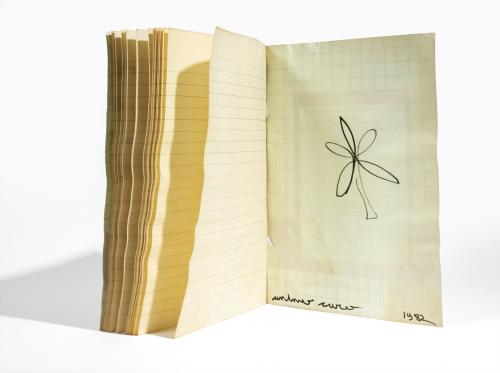 Antonio CaroColombia, 1950-2020 : Cuaderno