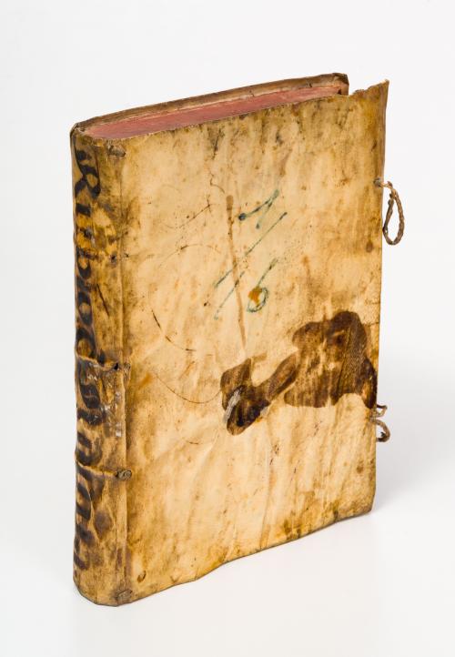 Rubio, Antonio : Commentarii in libros Aristotelis Stagiritae philosophorum Principis de anima, unà cum dubiis, quaestionibus hac tempestate in scholis agitari solitis