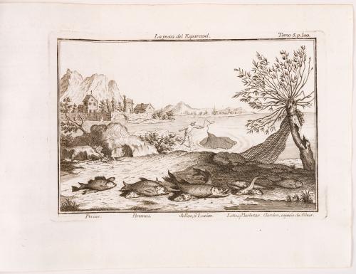  Pluche, Noël Antoine : Espectáculo de la naturaleza ó conversaciones a cerca de las particularidades de la historia natural, que han parecido más a propósito para excitar una curiosidad util y formarles la razón a los jóvenes lectores. Partes I-VIII
